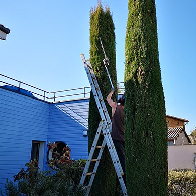 Entretien de jardin en service à la personne