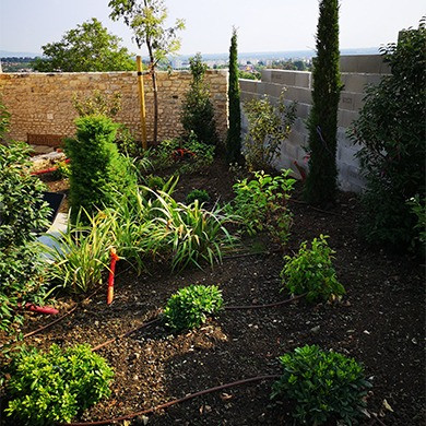 Plantation de végétaux