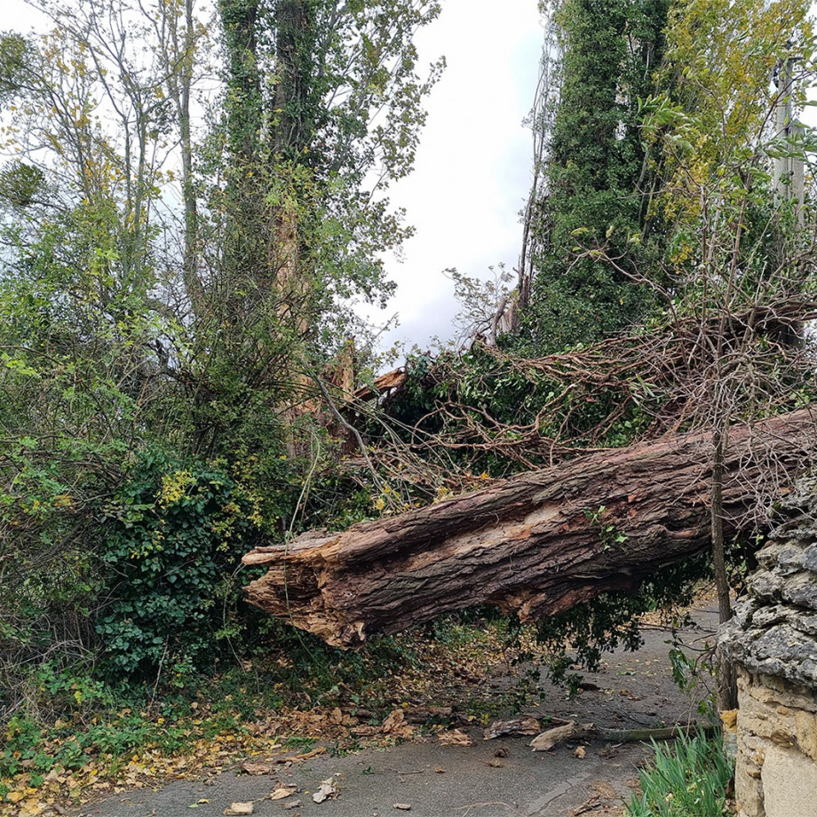 Intervention d’urgence