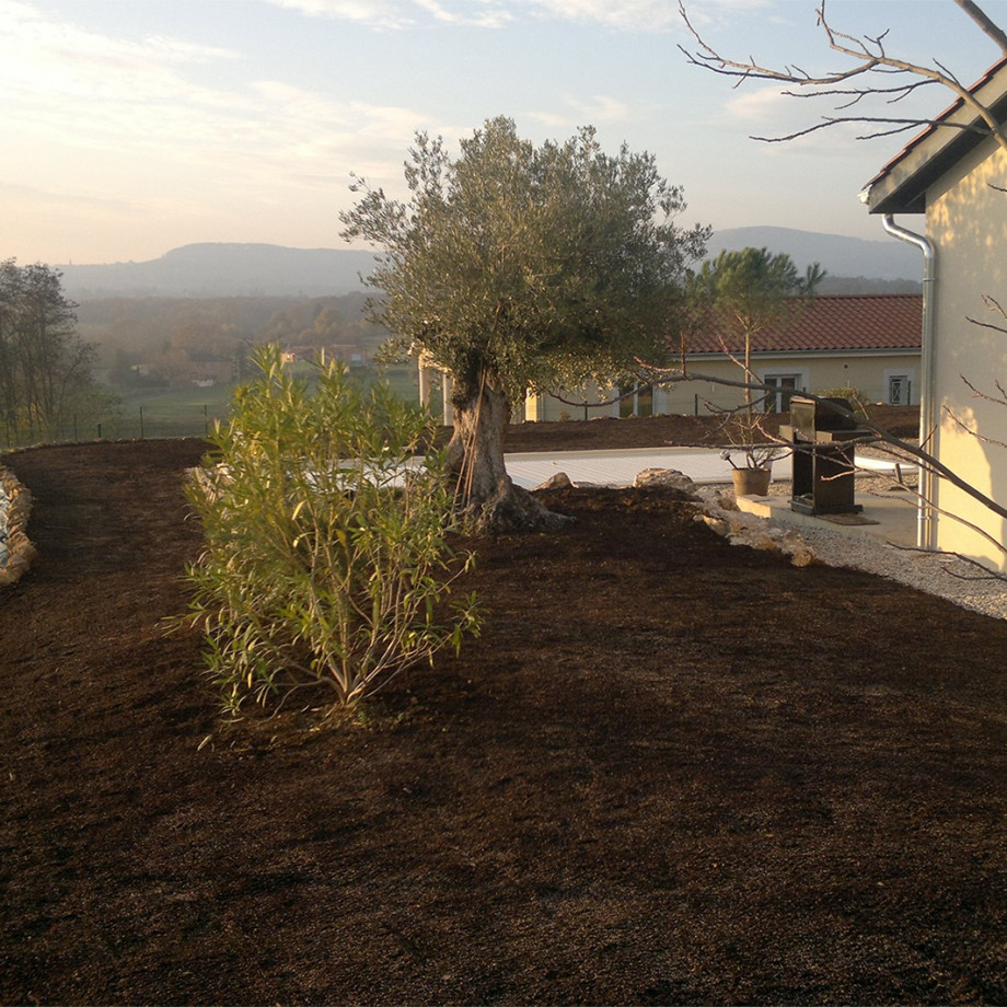 Plantation d’arbres d&#039;ornement, arbres fruitiers et arbustes