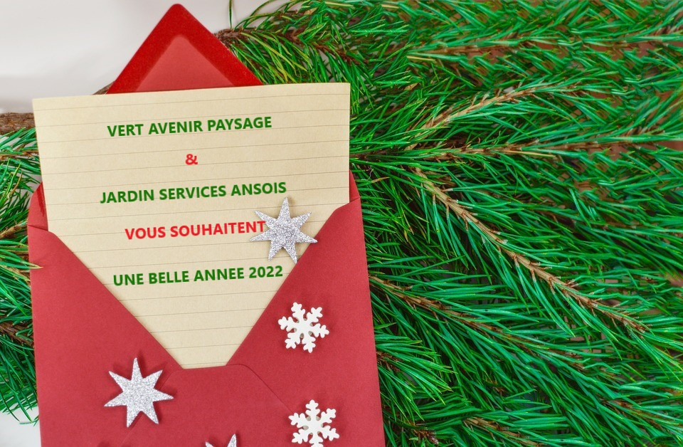 MEILLEURS VOEUX