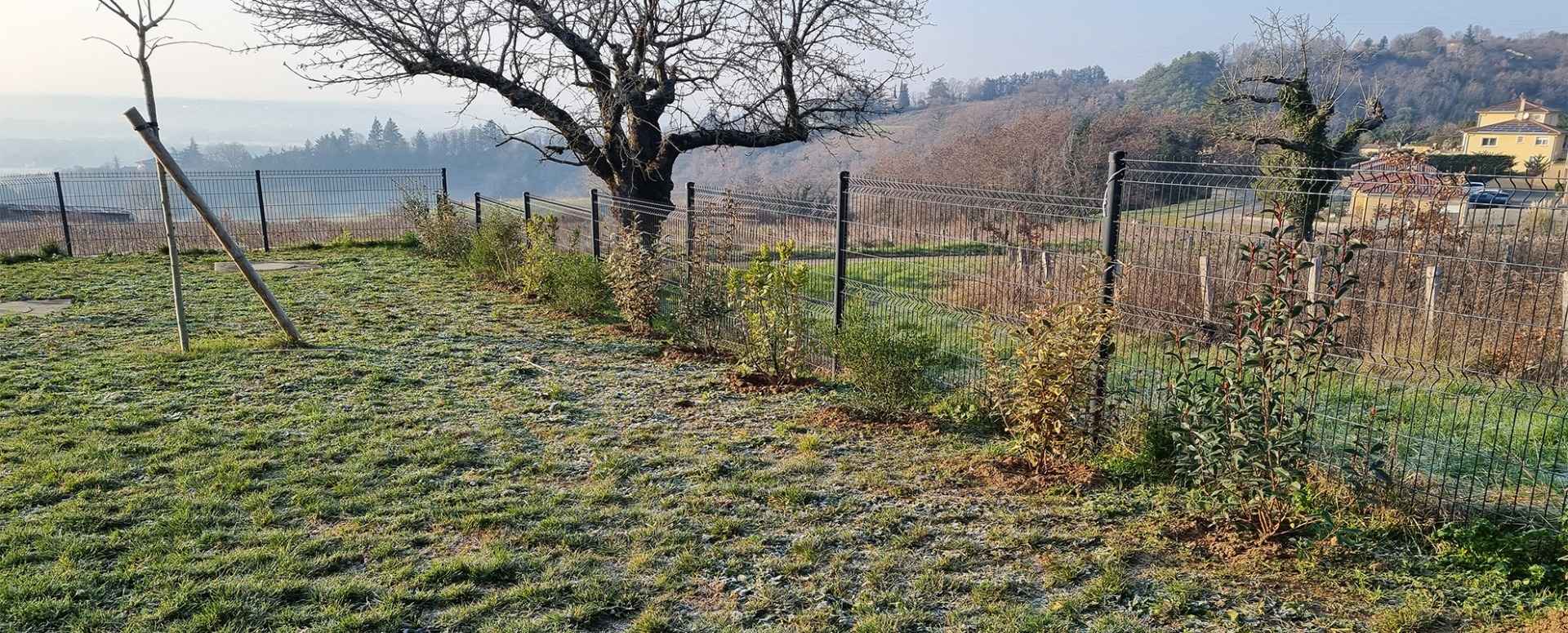 Plantation de végétaux