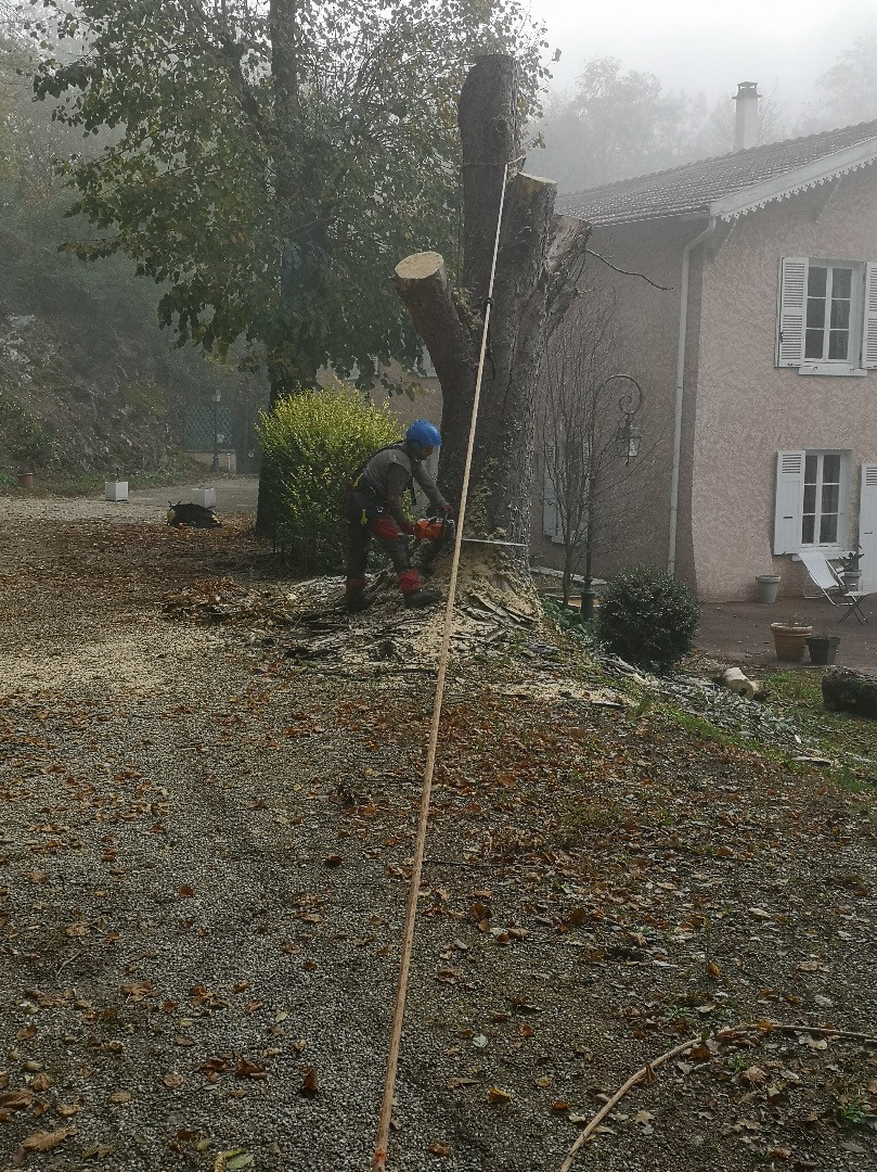 Élagage abattage, Élagage, abattage Anse, Villefranche-sur-Saône