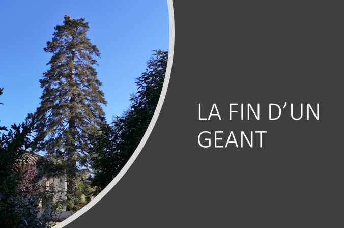 LA FIN D’UN GEANT