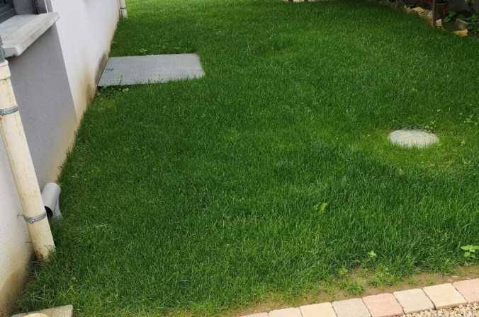 Rénovation d&#039;un gazon sur la commune de Limas