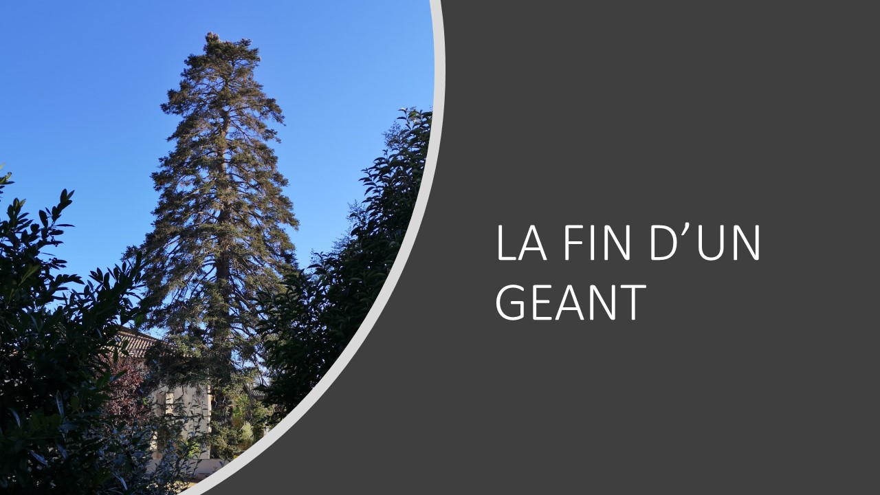 LA FIN D’UN GEANT