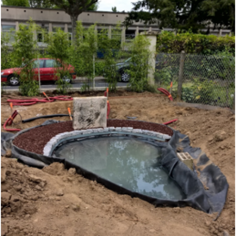 Conception et création d’un bassin d’ornement à Villefranche-sur-Saône