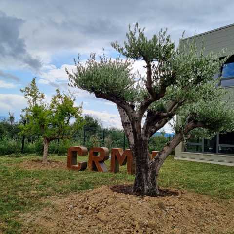 PLANTATIONS D&#039;ARBRES