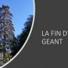 La fin d’un géant